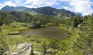 Mufule lake framed by green forest and mountains in summer, Valmalenco, Valtellina Mufule lake framed by green forest and mountains in summer, Valmalenco, Valtellina