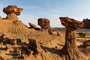 The mushroom rock formations, Ennedi Plateau, UNESCO World Heritage Site, Ennedi region The mushroom rock formations, Ennedi Plateau, UNESCO World Heritage Site, Ennedi region
