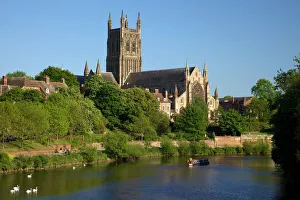 Architectural Feature Gallery: Mute swans and barge on River Severn, spring evening, Worcester Cathedral