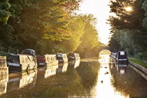 Narrowboats moored on the Kennet and Avon Canal at sunset, Kintbury, Berkshire, England Narrowboats moored on the Kennet and Avon Canal at sunset, Kintbury, Berkshire, England