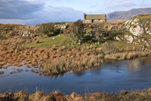 Near Maum Cross, Connemara, County Galway, Connacht, Republic of Ireland, Europe Near Maum Cross, Connemara, County Galway, Connacht, Republic of Ireland, Europe