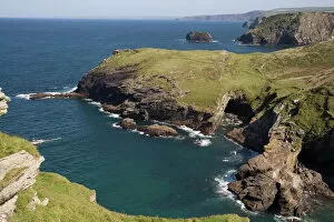 Images Dated 10th September 2009: North coast at Tintagel, Cornwall, England, United Kingdom, Europe