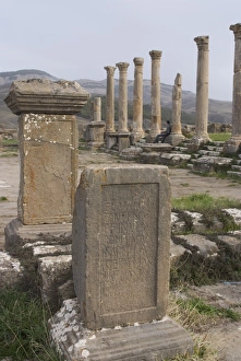 North Forum, Djemila, UNESCO World Heritage Site, Algeria, North Africa, Africa North Forum, Djemila, UNESCO World Heritage Site, Algeria, North Africa, Africa