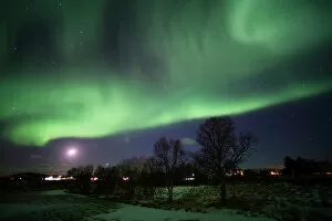 Flare Gallery: Northern Lights (aurora borealis), Laukvik, Nordland, Norway, Scandinavia, Europe