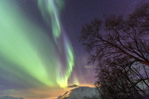 Northern Lights on the icy landscape of Svensby, Lyngen Alps, Troms, Lapland, Norway Northern Lights on the icy landscape of Svensby, Lyngen Alps, Troms, Lapland, Norway