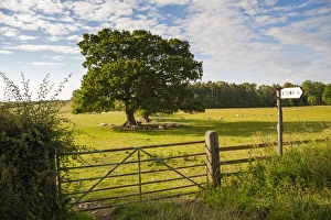 Haydon Gallery: Northumberland National Park, near Haydon, Northumberland, England, United Kingdom, Europe