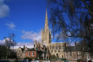 Prints of Norwich Cathedral from the Close, Norwich, Norfolk, England, United Kingdom, Europe Norfolk Prints: Norwich Cathedral Print from the Close