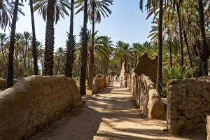 Oasis of Al Ula, Kingdom of Saudi Arabia, Middle East Oasis of Al Ula, Kingdom of Saudi Arabia, Middle East