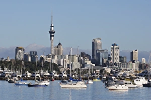 Okahu Bay and skyline, Auckland, North Island, New Zealand, Pacific