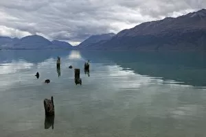 Glenorchy Gallery: Old pier posts on Lake Wakatipu, Glenorchy, Otago, South Island, New Zealand, Pacific