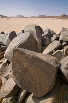 Rock Drawing Gallery: Old rock inscriptions in the Tassili n Ajjer, Sahara, Southern Algeria