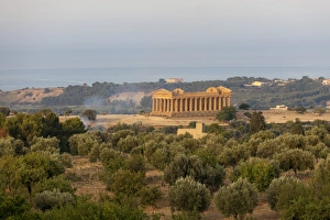The olive grove frames the Temple of Concordia, an ancient Greek temple in the Valle dei The olive grove frames the Temple of Concordia, an ancient Greek temple in the Valle dei