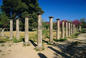 Olympia, birthplace of the Olympic games in 776 BC Olympia, birthplace of the Olympic games in 776 BC