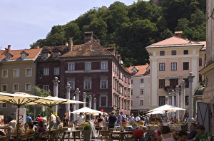 Country Gallery: Slovenia Collection