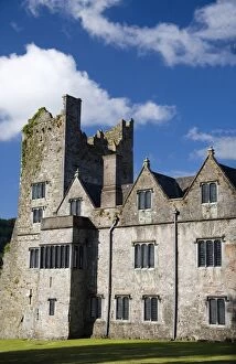 Images Dated 3rd August 2006: Ormonde Castle, Carrick-on-Suir, County Tipperary, Munster, Republci of Ireland, Europe