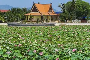 Ornamental lake covered with lily pads by temple pavilion at this quiet former French Ornamental lake covered with lily pads by temple pavilion at this quiet former French