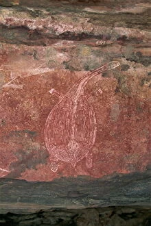 Rock Art Gallery: Painting of a turtle at the Aboriginal rock art site at Ubirr Rock, Kakadu National Park
