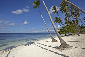 Paliton Beach, near San Juan, Siquijor, Philippines, Southeast Asia, Asia Paliton Beach, near San Juan, Siquijor, Philippines, Southeast Asia, Asia