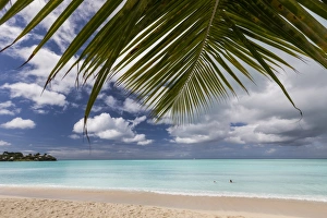 A palm branch juts out into the Caribbean Sea on Valley Church Beach one of the lesser A palm branch juts out into the Caribbean Sea on Valley Church Beach one of the lesser
