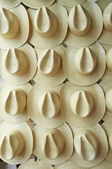 Images Dated 8th February 2011: Panama hats for sale, Campeche, Mexico, North America