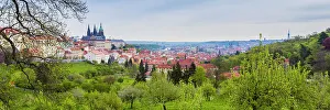Panorama Print of Prague Castle and Petrin Hill Gardens