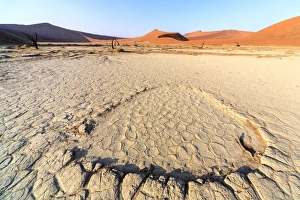 Parched ground and dead Acacia surrounded by sandy dunes, Deadvlei, Sossusvlei Parched ground and dead Acacia surrounded by sandy dunes, Deadvlei, Sossusvlei