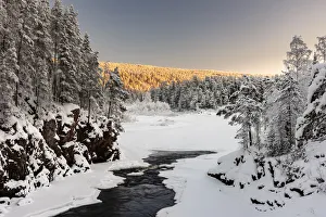 Patoniva River and snow covered winter landscape, Oulanka National Park, Kuusamo, Finland Patoniva River and snow covered winter landscape, Oulanka National Park, Kuusamo, Finland