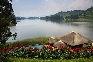Pavilion and flowers at a viewpoint overlooking Lake Bunyonyi, Uganda, East Africa, Africa