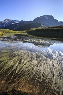 Peak Suretta is reflected in Lake Andossi at dawn, Chiavenna Valley, Spluga Valley Peak Suretta is reflected in Lake Andossi at dawn, Chiavenna Valley, Spluga Valley