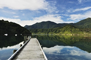 Penzance Bay, Tennyson Inlet, Marlborough Sounds, Marlborough, South Island Penzance Bay, Tennyson Inlet, Marlborough Sounds, Marlborough, South Island