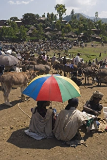 People walk for days to trade in this famous weekly market, Saturday market in Lalibela People walk for days to trade in this famous weekly market, Saturday market in Lalibela