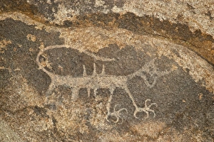 Rock Drawing Gallery: Petroglyph, Alabama Hills, Inyo National Forest, California, United States of America