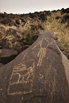Rock Drawing Gallery: Petroglyph National Monument, Albuquerque, New Mexico, United States of America