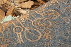 Petroglyphs or rock engravings, Twyfelfontein, UNESCO World Heritage Site, Damaraland Petroglyphs or rock engravings, Twyfelfontein, UNESCO World Heritage Site, Damaraland