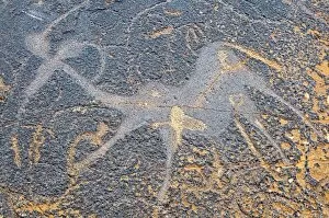 Twyfelfontein Collection: Petroglyphs or rock engravings, Twyfelfontein, UNESCO World Heritage Site, Damaraland