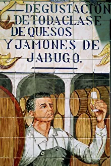 Picture in tiles of wine taster in the Restaurant Lachata in Madrid Picture in tiles of wine taster in the Restaurant Lachata in Madrid