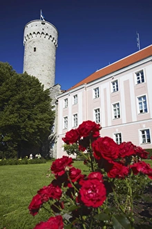Pikk Hermann (Tall Hermann) Tower at Toompea Castle, Toompea, Tallinn, Estonia Pikk Hermann (Tall Hermann) Tower at Toompea Castle, Toompea, Tallinn, Estonia