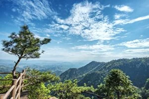 Pine tree and green mountains at Tian Mu Shan Four Sides peak, Zhejiang, China, Asia
