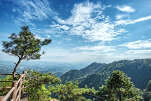 Pine tree and green mountains at Tian Mu Shan Four Sides peak, Zhejiang, China, Asia Pine tree and green mountains at Tian Mu Shan Four Sides peak, Zhejiang, China, Asia