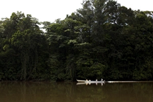 A pirogue on the Approuague River, French Guiana, South America A pirogue on the Approuague River, French Guiana, South America