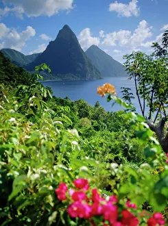 <b class=qtipBold><figcaption>The Pitons, St</figcaption></b><br>The Pitons, St. Lucia, West Indies<br><em>© Robert Harding 2008 - All Rights Reserved</em> The Pitons, St