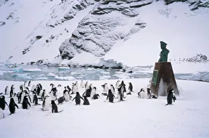 Memorials Gallery: Point Wild, where Shackletons men were rescued in 1916, one of the most historic locations in the Antarctic