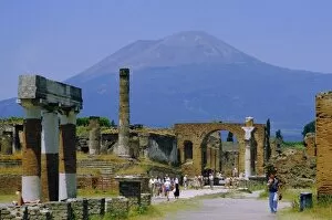 Gathering Collection: Pompeii, Mt