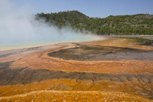 Pool runoff of orange bacteria and algae (Therophiles), Grand Prismatic Pool, Midway Geyser Basin, Yellowstone National Park, UNESCO World Heritage Site, Wyoming, United States of America, North America Pool runoff of orange bacteria and algae (Therophiles), Grand Prismatic Pool, Midway Geyser Basin, Yellowstone National Park, UNESCO World Heritage Site, Wyoming, United States of America, North America