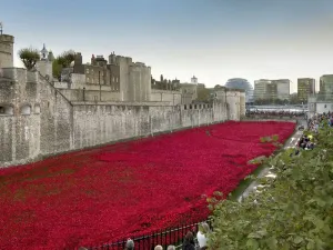 Prints of Ceramic poppies forming the installation Blood Swept Lands and Seas of Red to remember the Dead of the First World War, Tower of London, London, England, United Kingdom, Europe World War I Prints: Ceramic Poppies at the Tower of London Print