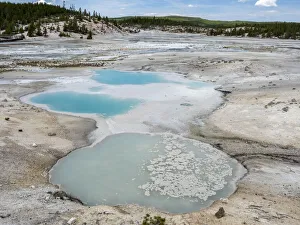 Porcelain Basin, in the Norris Geyser Basin area, Yellowstone National Park Porcelain Basin, in the Norris Geyser Basin area, Yellowstone National Park