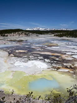 Porcelain Springs in the Norris Geyser Basin, Yellowstone National Park Porcelain Springs in the Norris Geyser Basin, Yellowstone National Park