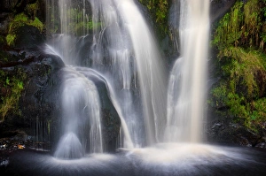 Images Dated 24th November 2014: Posforth Gill Waterfall, Bolton Abbey, Yorkshire Dales, Yorkshire, England, United Kingdom