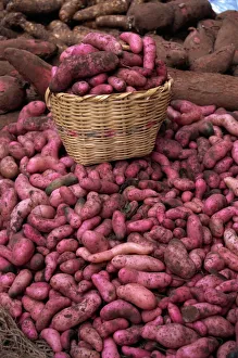 Potatoes for sale at market, Ipiales, Colombia, South America Potatoes for sale at market, Ipiales, Colombia, South America