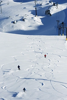 Powder skiing at Whistler mountain resort, venue of the 2010 Winter Olympic Games Powder skiing at Whistler mountain resort, venue of the 2010 Winter Olympic Games